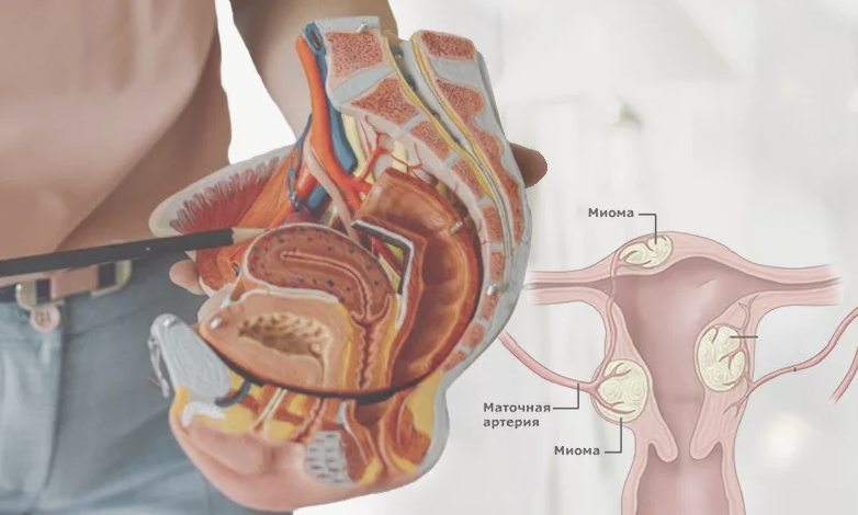 [Ирина Леонидова] Внутри женщины (2024)_0.png